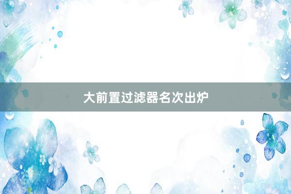 大前置过滤器名次出炉